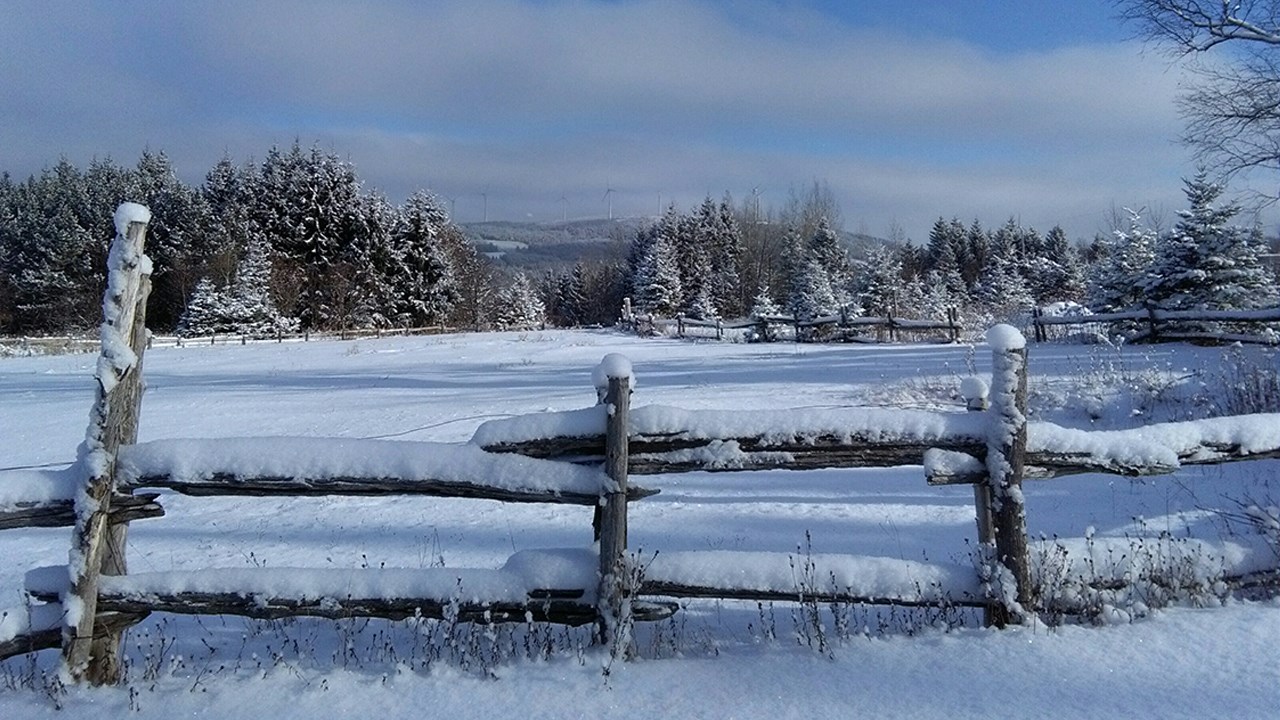 PHOTOS | L'hiver en Beauce dans toute sa splendeur (3 sur 5)