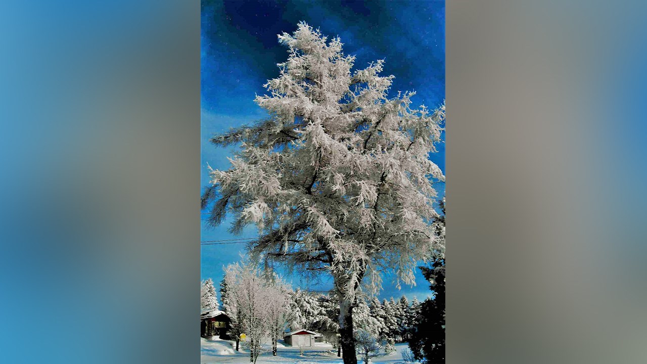 PHOTOS | L'hiver en Beauce dans toute sa splendeur (3 sur 5)