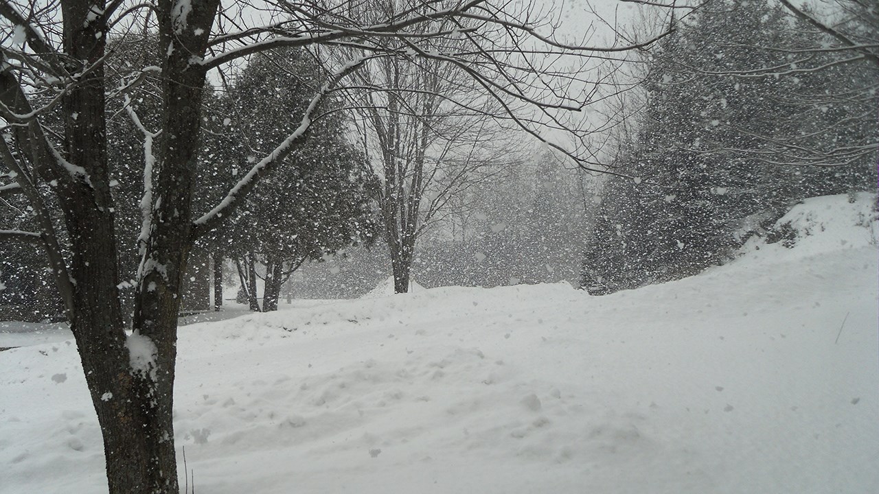 PHOTOS | L'hiver en Beauce dans toute sa splendeur (3 sur 5)