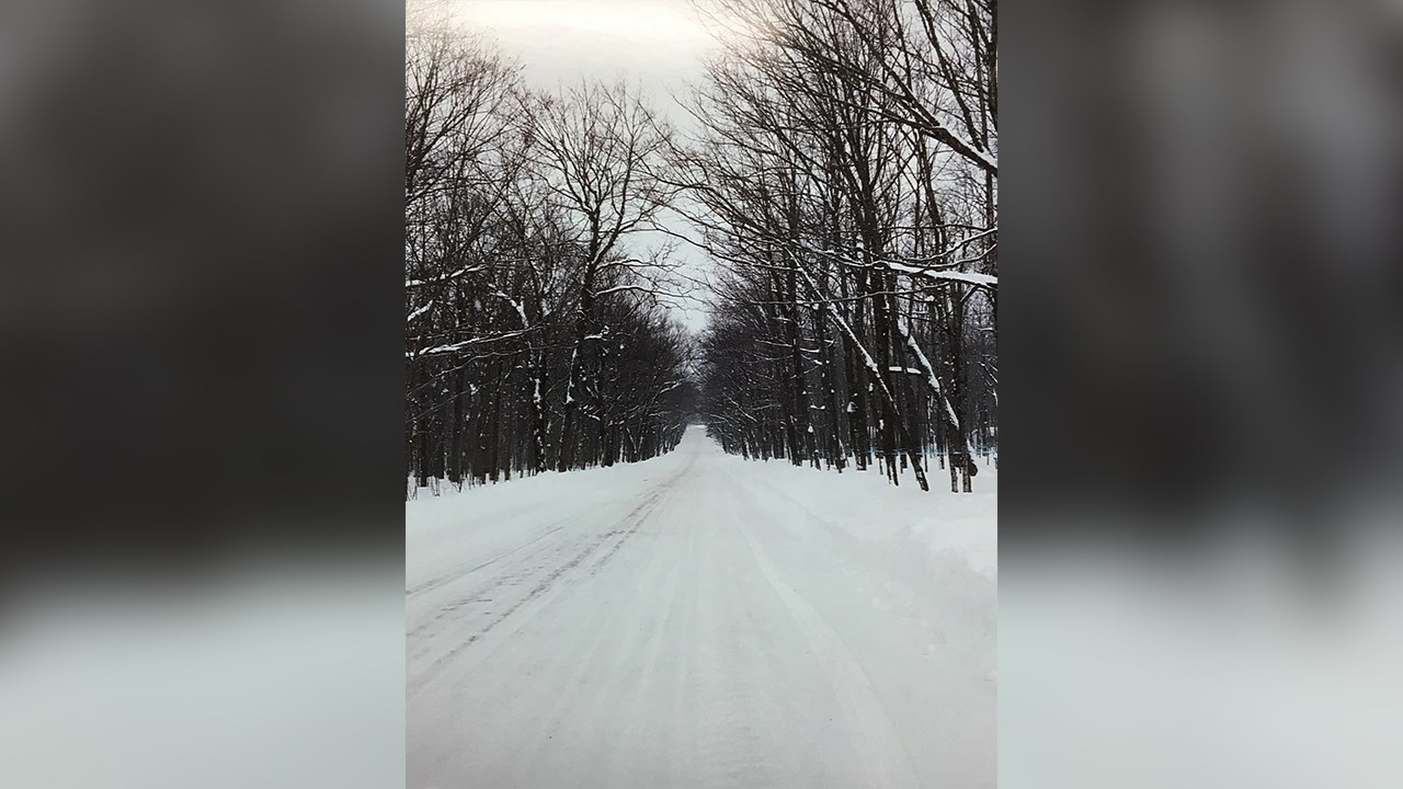 PHOTOS | L'hiver en Beauce dans toute sa splendeur (3 sur 5)