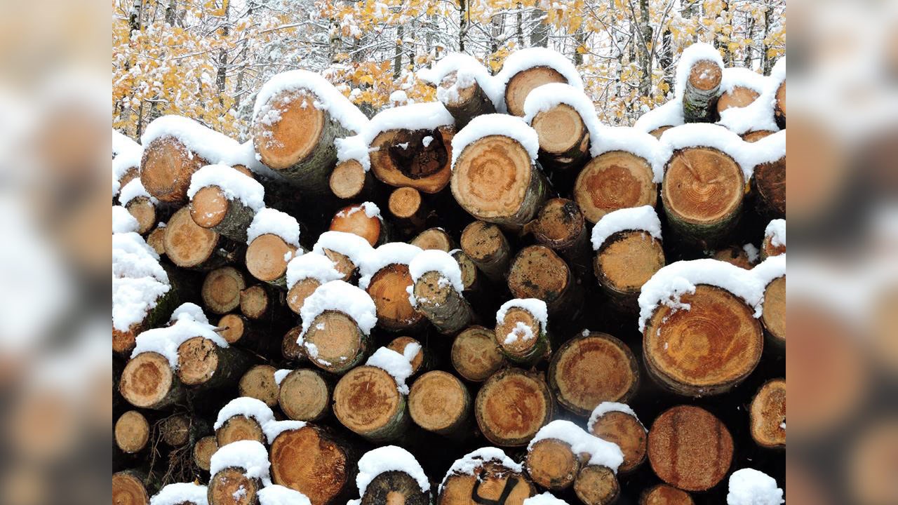 PHOTOS | L'hiver en Beauce dans toute sa splendeur (3 sur 5)