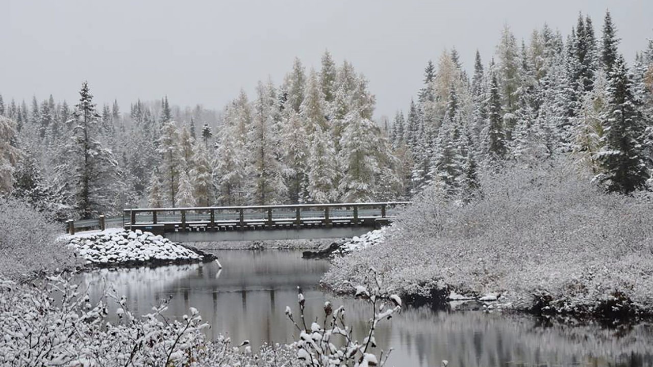 PHOTOS | L'hiver en Beauce dans toute sa splendeur (3 sur 5)