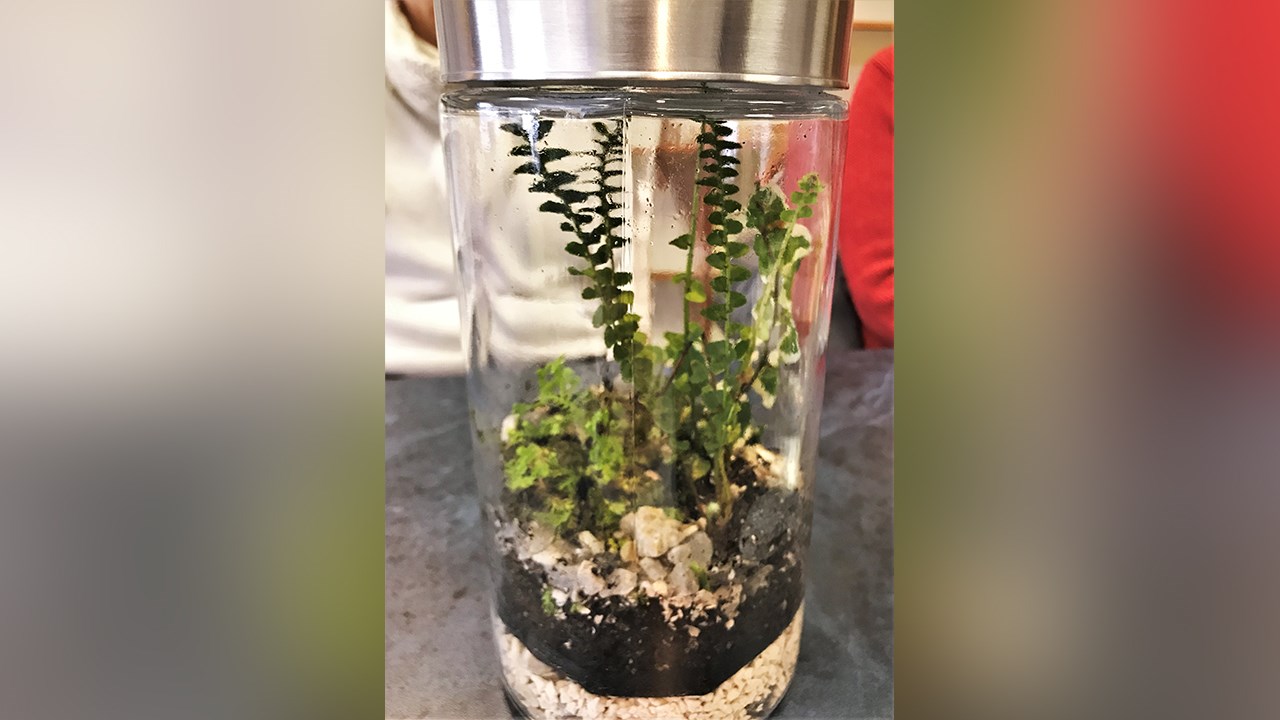 Confection de fusées et de terrariums pour la semaine de relâche à Beauceville