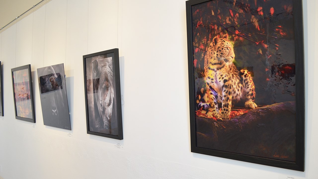 Six expositions à voir au Centre culturel Marie-Fitzbach de St-Georges