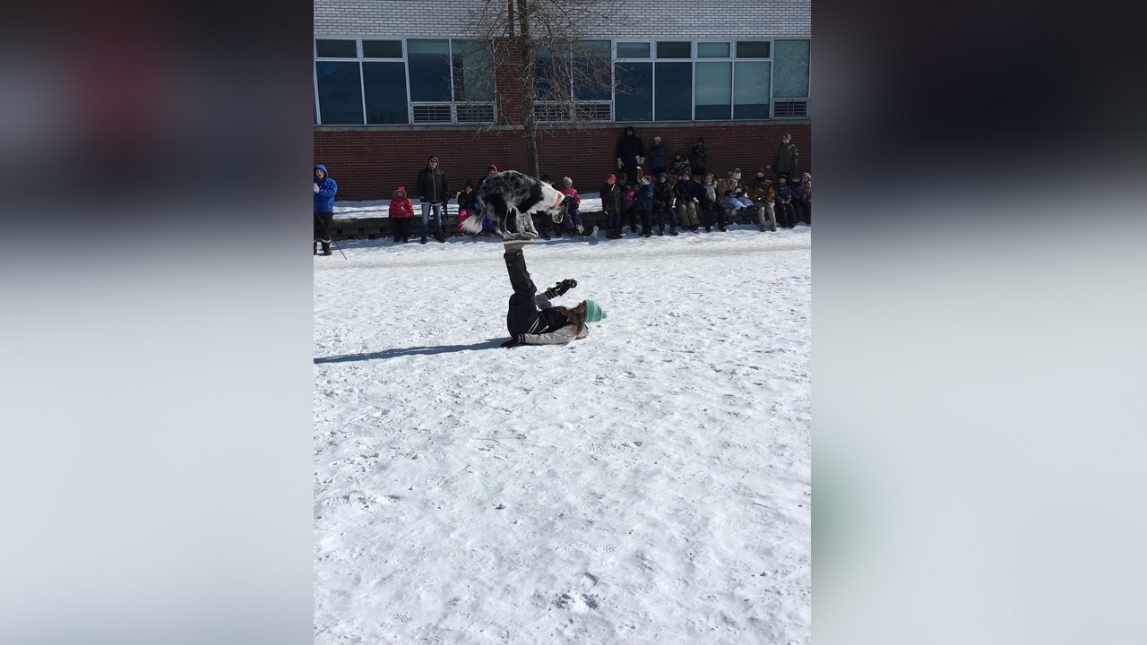 Un après-midi canin pour le dernier rendez-vous d’hiver Beauce Auto Ford-Lincoln