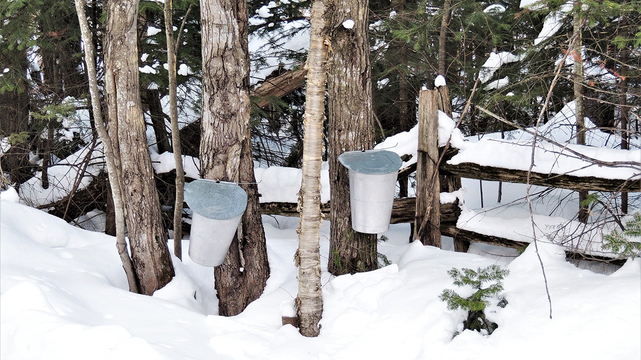Cabanes à sucre et sirop d'érable en vedette sur EnBeauce.com ce mois-ci