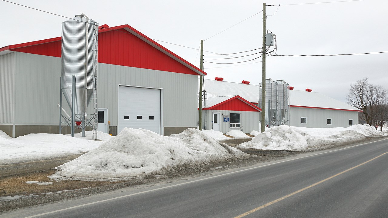 La ferme Catoche inc., propriété des frères Marc et Daniel Cliche