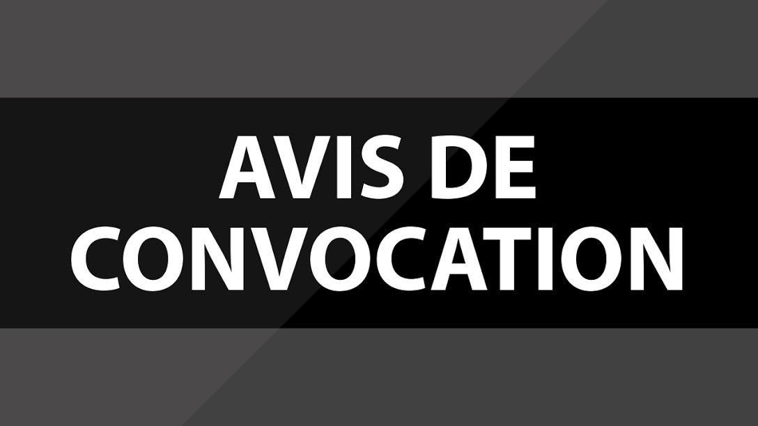Avis de convocation à l'assemblée générale spéciale du Bercail