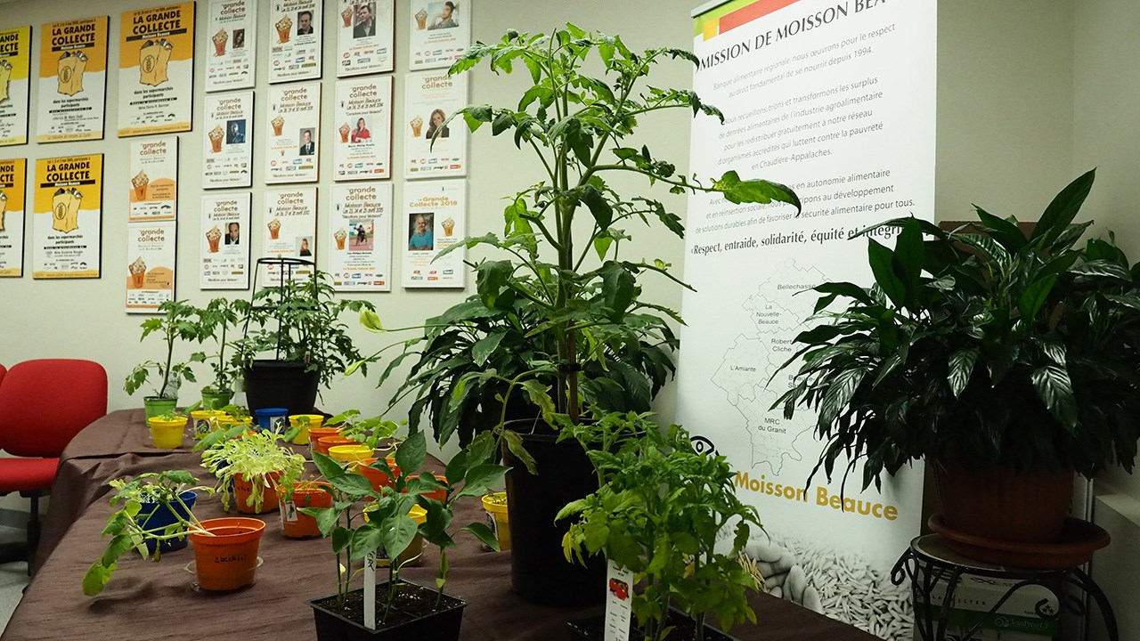 Moisson Beauce lance sa campagne « Un rang pour ceux qui ont faim »
