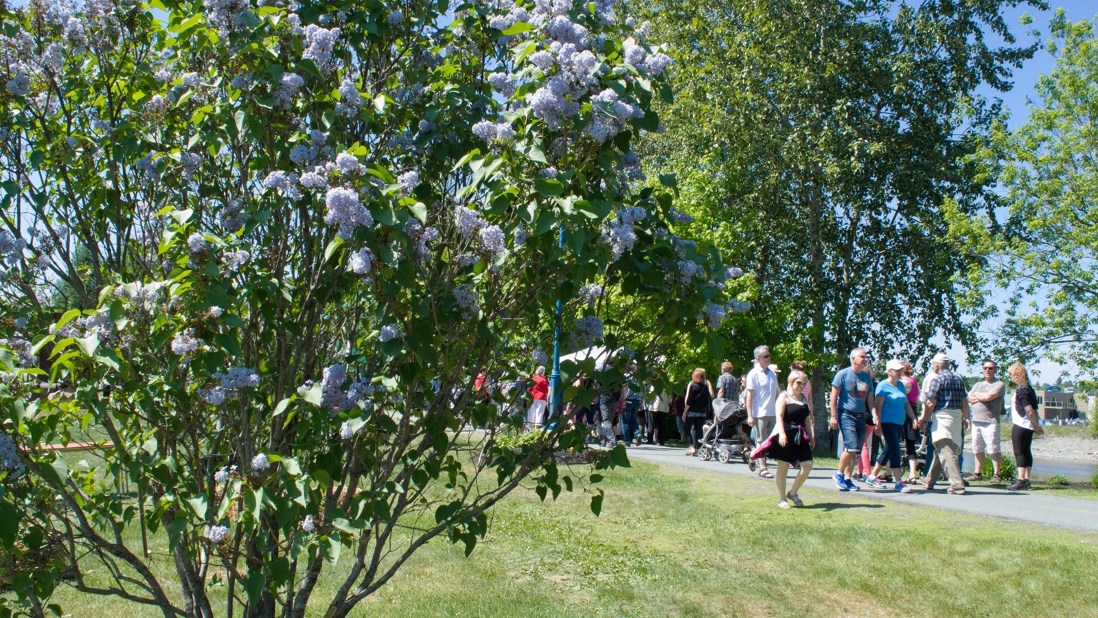 Une journée ensoleillée et courue à la Fête des Parfums