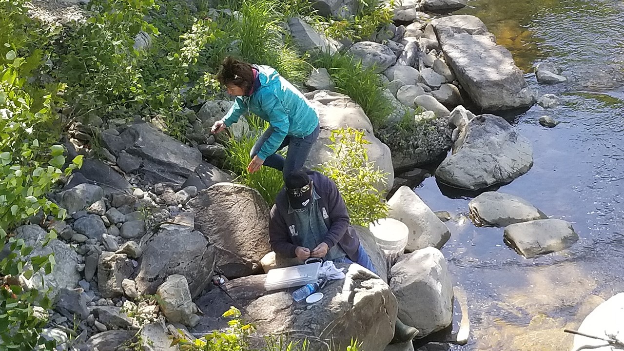 Des milliers de truites pour la Pêche en ville au Parc des Sept-Chutes