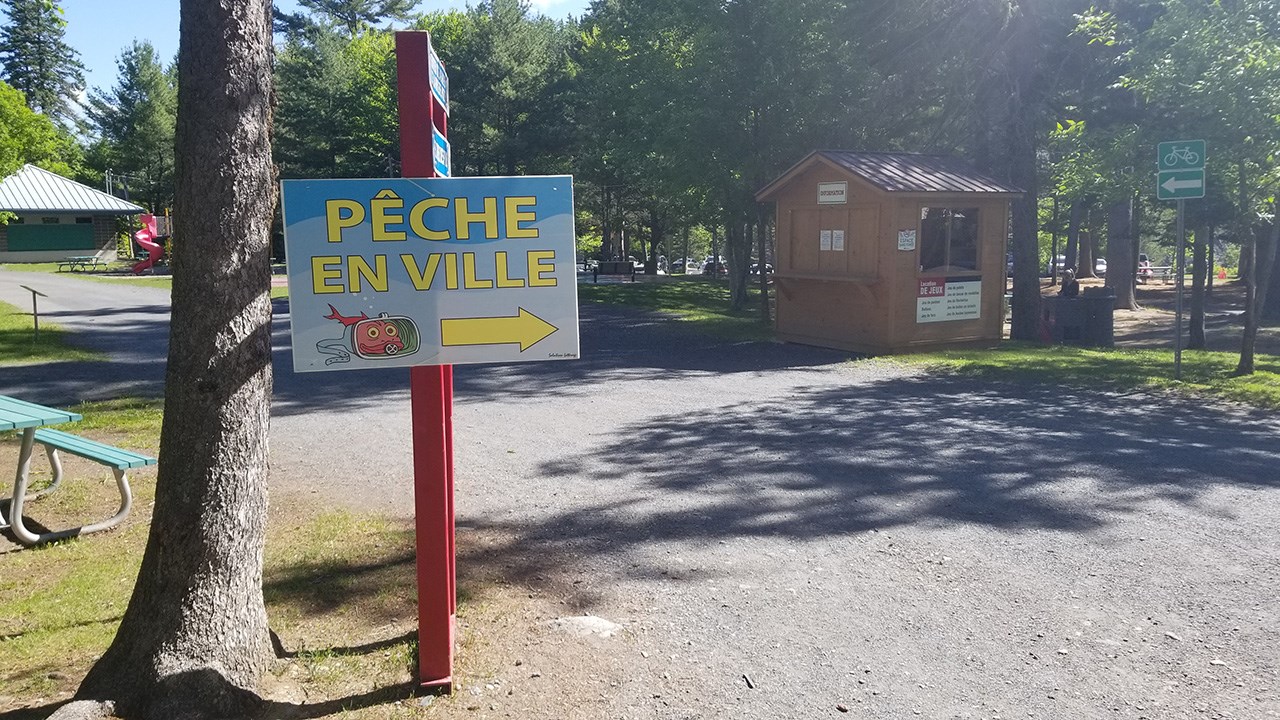 Des milliers de truites pour la Pêche en ville au Parc des Sept-Chutes