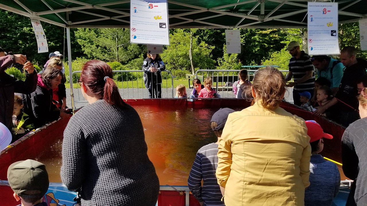 Des milliers de truites pour la Pêche en ville au Parc des Sept-Chutes