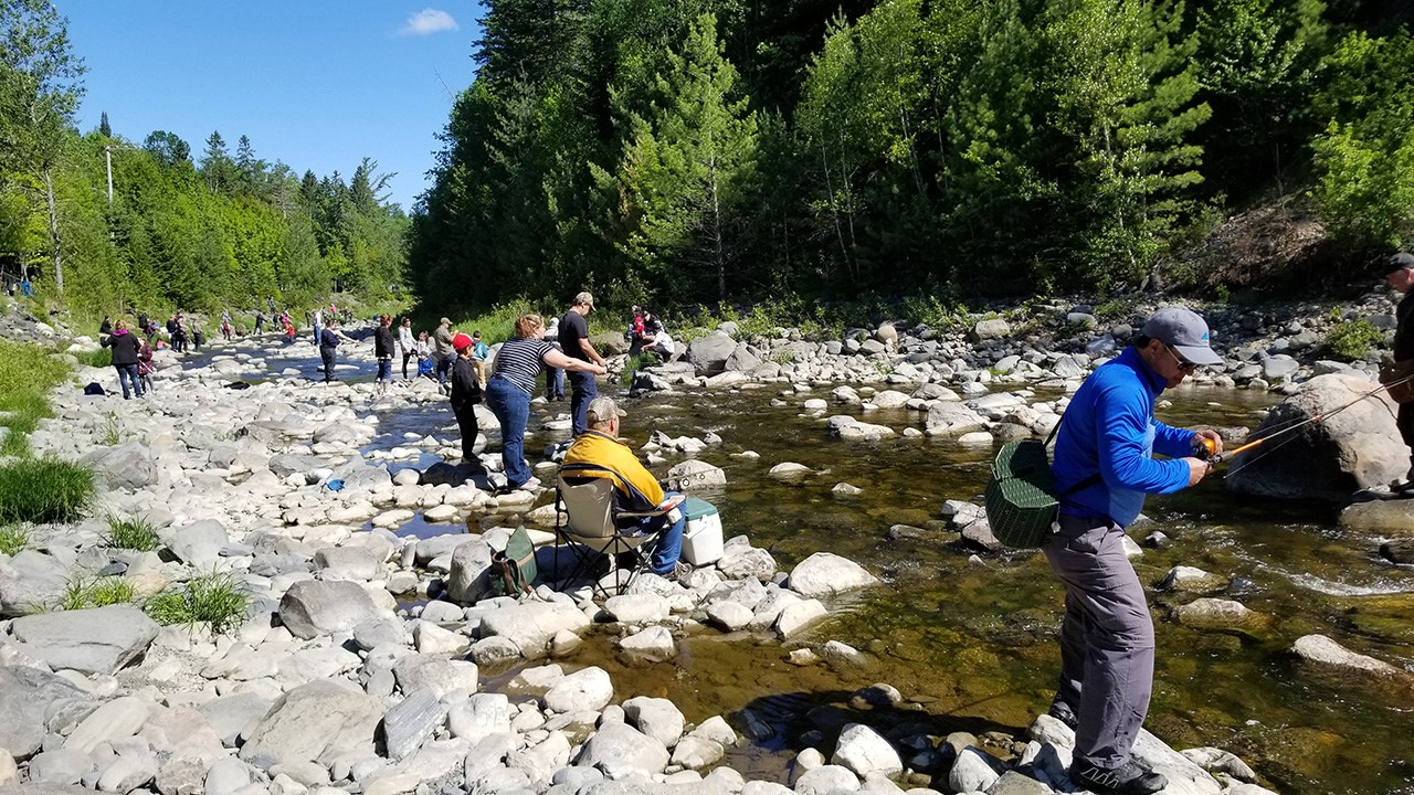 Des milliers de truites pour la Pêche en ville au Parc des Sept-Chutes