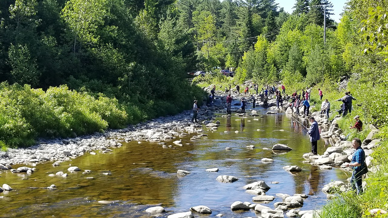 Des milliers de truites pour la Pêche en ville au Parc des Sept-Chutes