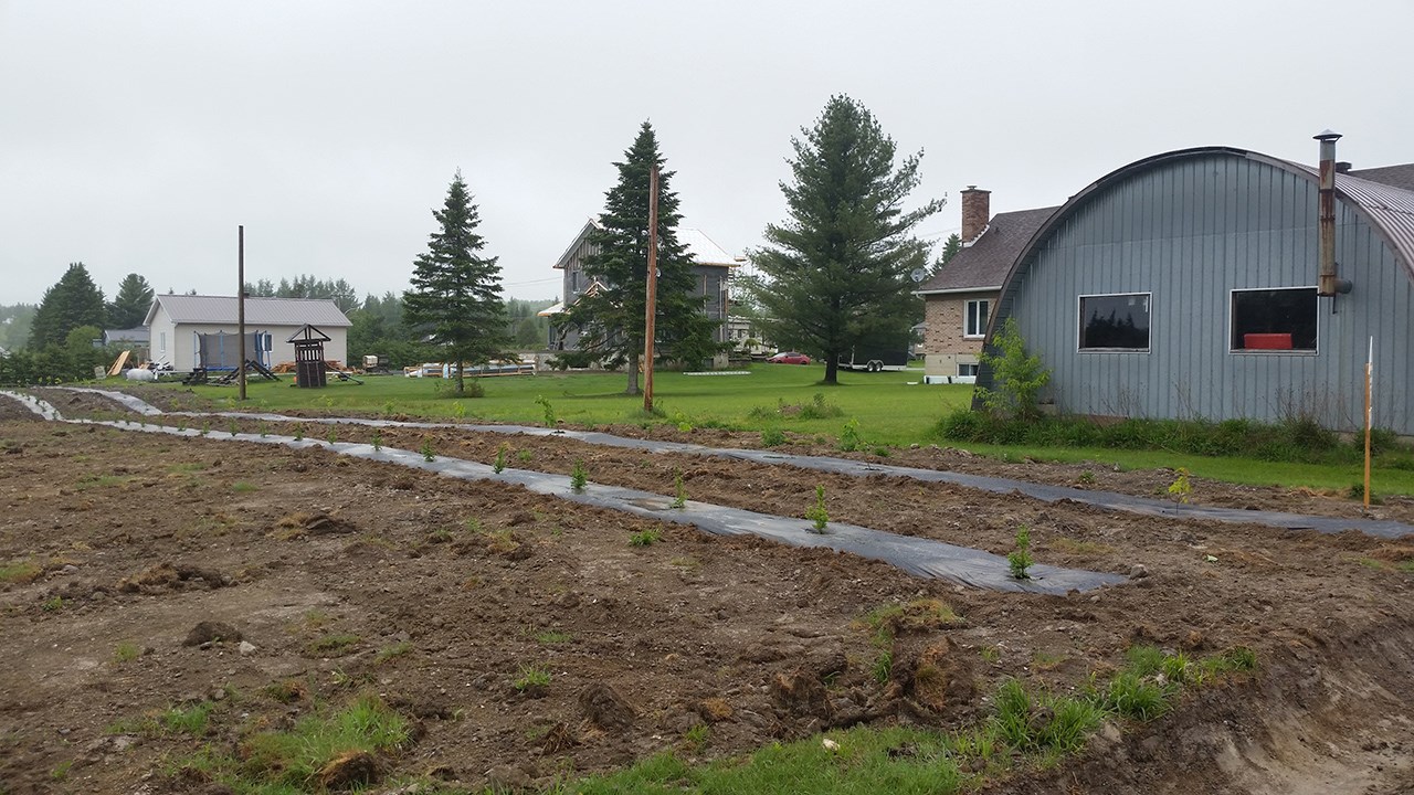 Ras’L’Bock soutient le reboisement à St-Odilon grâce à Arbre-Évolution