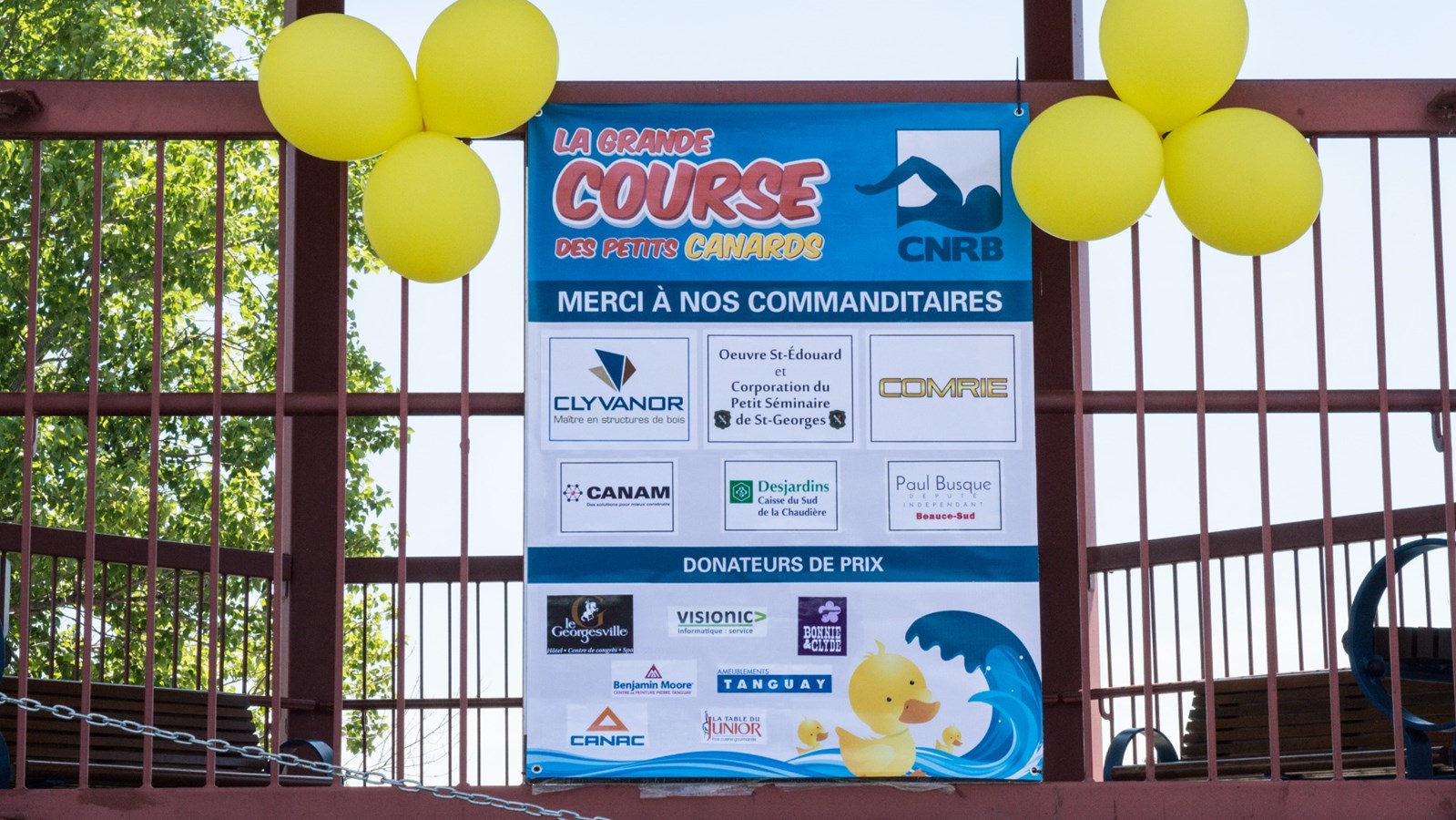 Près de 4000 canards jaunes descendent la rivière Chaudière