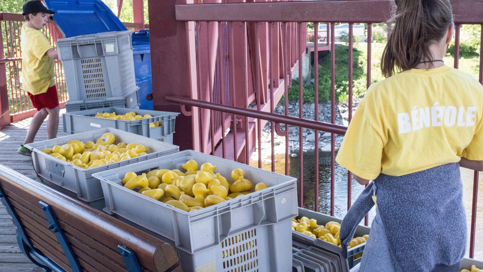 Près de 4000 canards jaunes descendent la rivière Chaudière