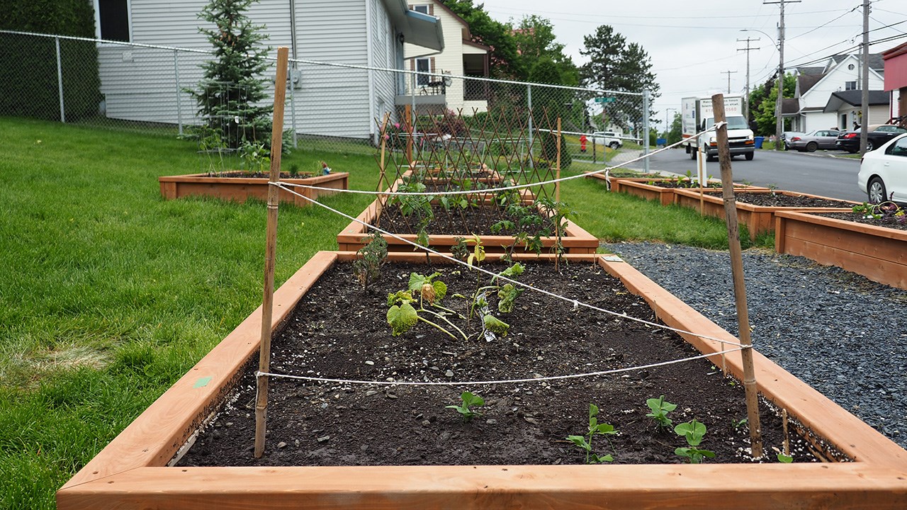 Inauguration d'un jardin communautaire à Saint-Georges