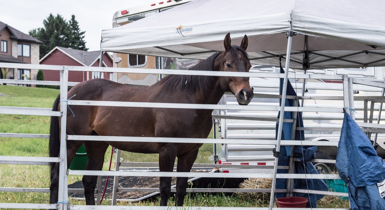 La 40e édition des Festivités Western de Saint-Victor bat son plein