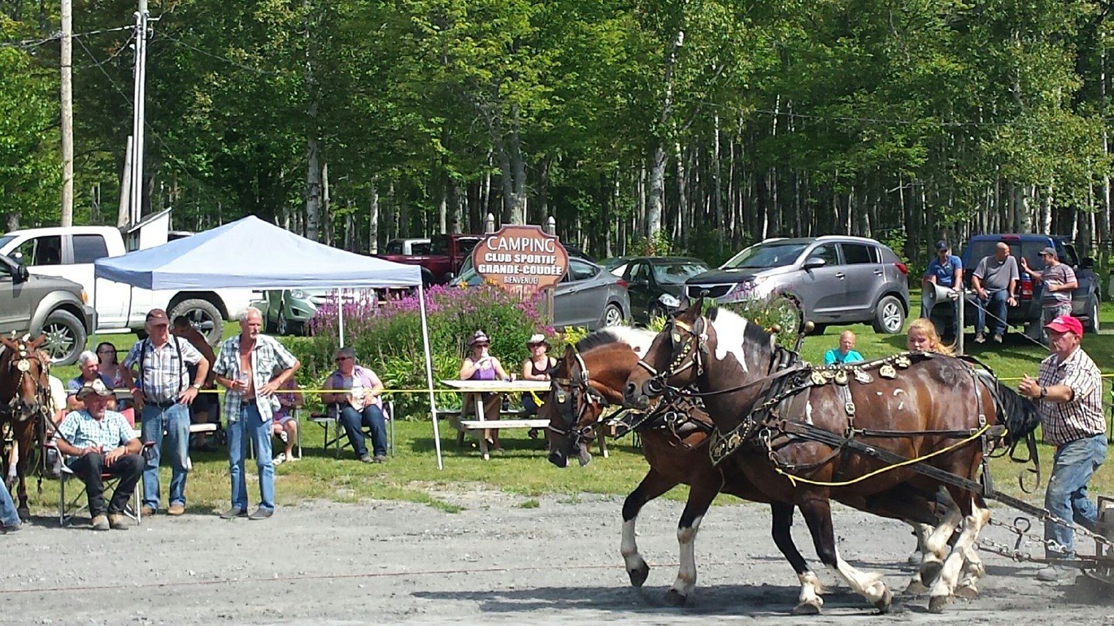 La Tire de Poney du Club Sportif de St-Martin aura lieu le 18 août