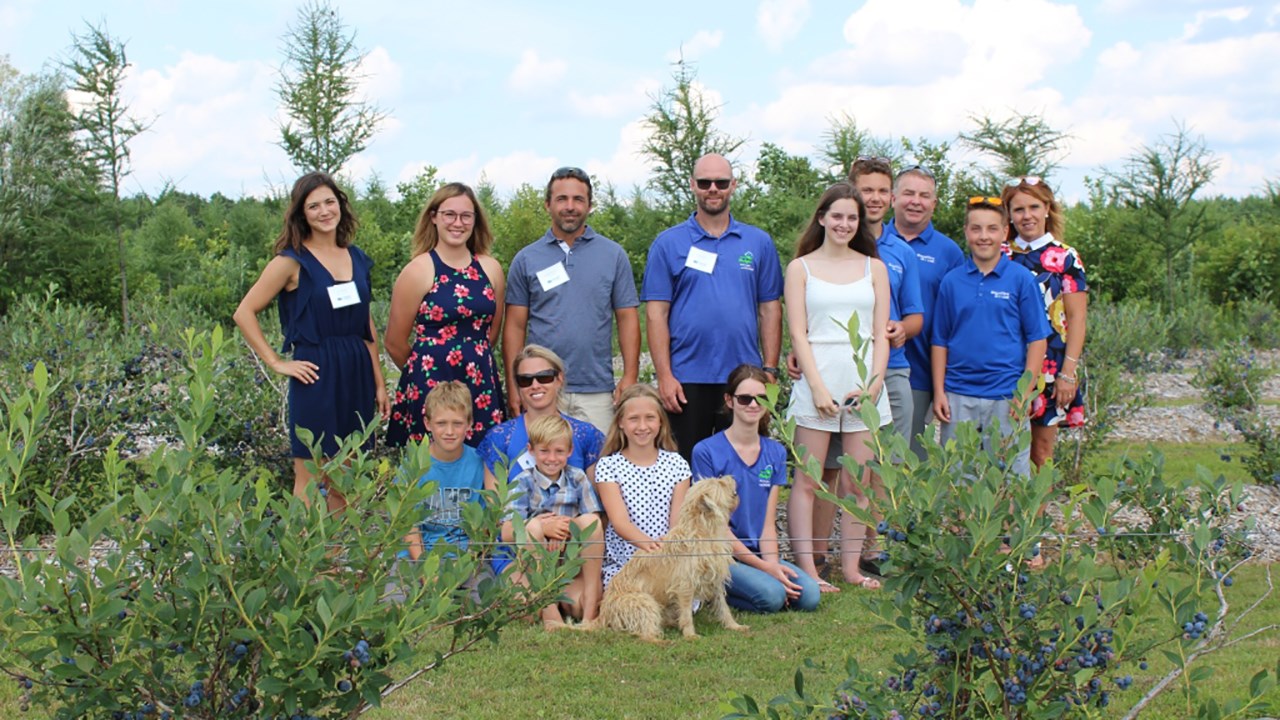 La saison des bleuets est lancée en Chaudière-Appalaches