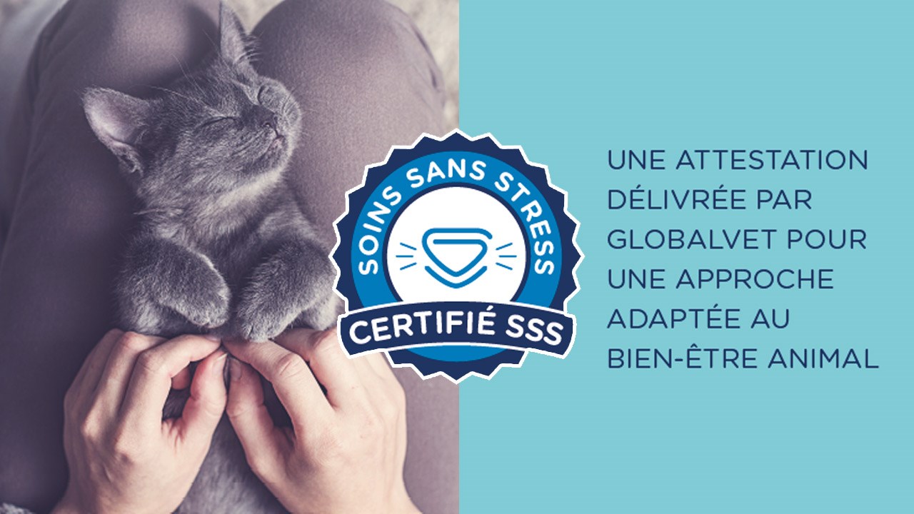 Une clinique certifiée « soins sans stress », c’est quoi?