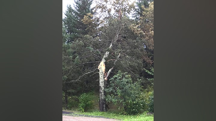 EN BREF | Plusieurs arbres renversés au golf du Moulin à St-Benoît