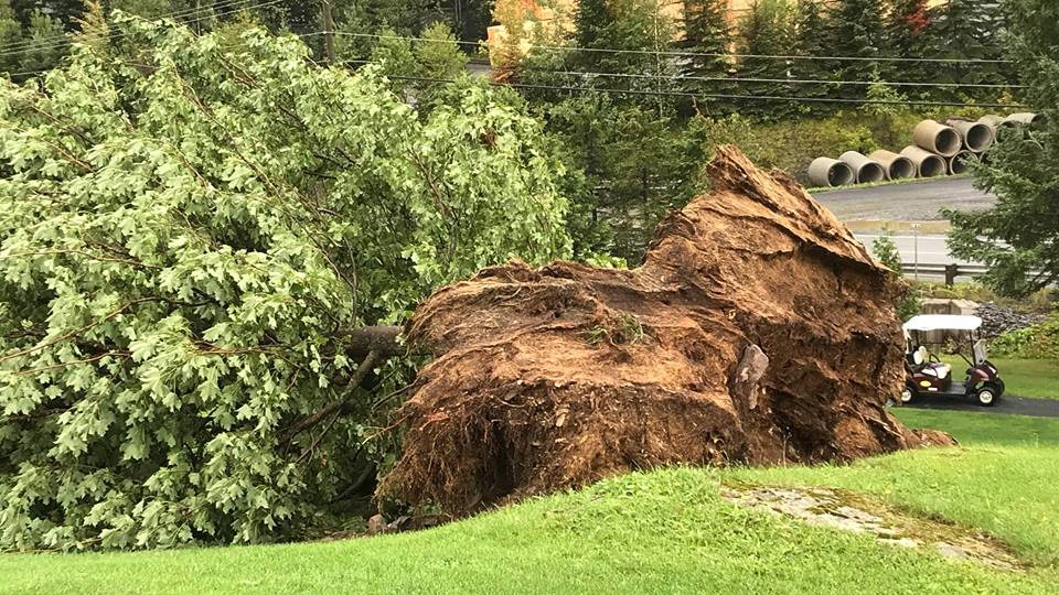 EN BREF | Plusieurs arbres renversés au golf du Moulin à St-Benoît
