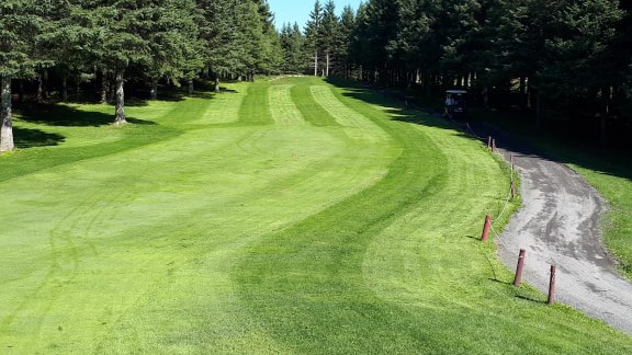 EN BREF | Le terrain du golf du Moulin est plus beau que jamais