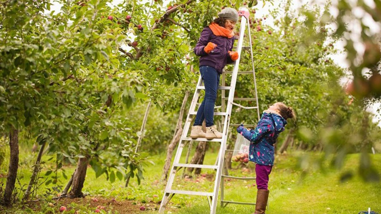 3 façons de vivre l’agrotourisme en Beauce cet automne!