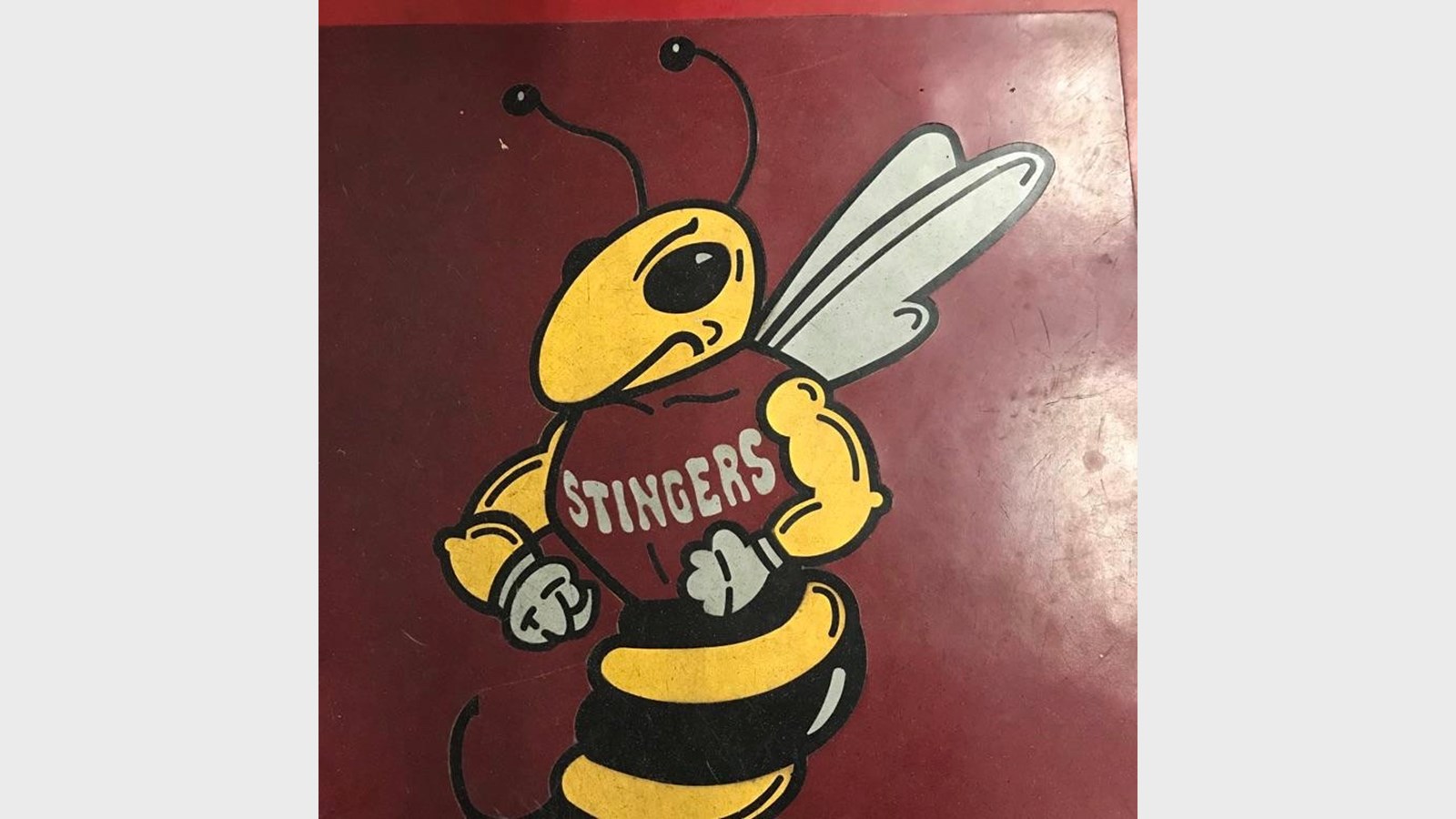 L'ancien logo des Stingers de Concordia.