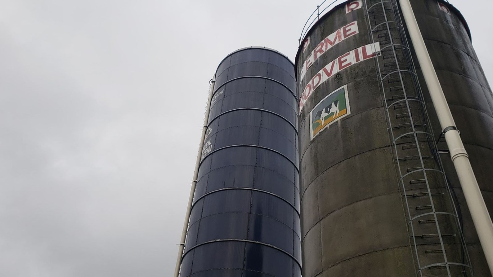 Deux agriculteurs perdent la vie dans un silo à St-Simon