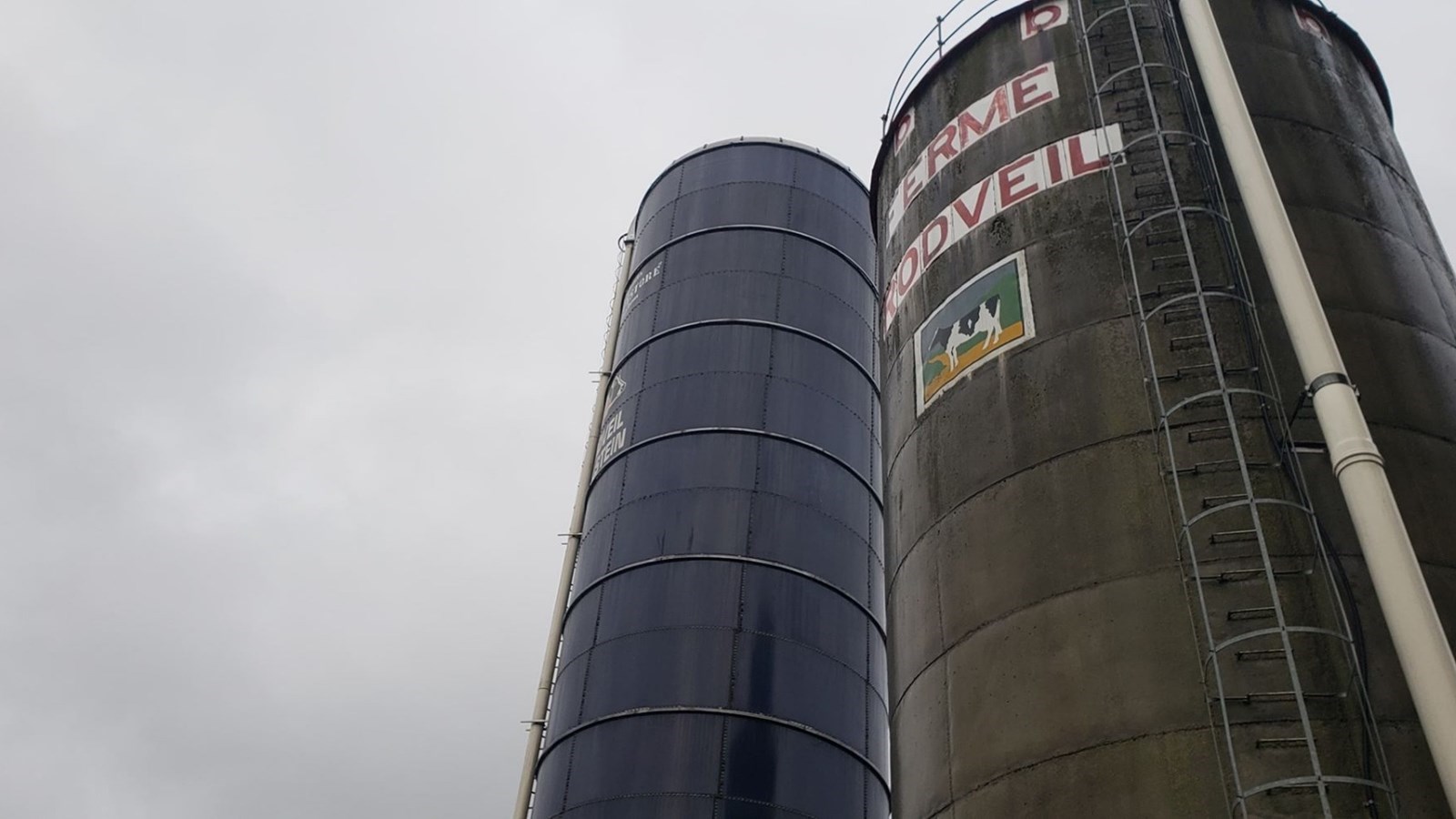 Les deux agriculteurs tombés dans un silo sont décédés