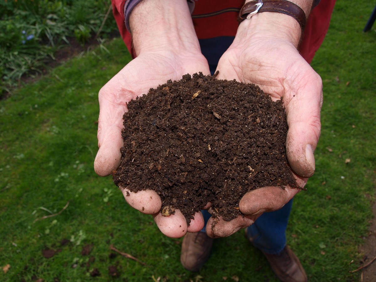 Il y a mille et une raisons de fabriquer son compost à la maison, comme amender son jardin.