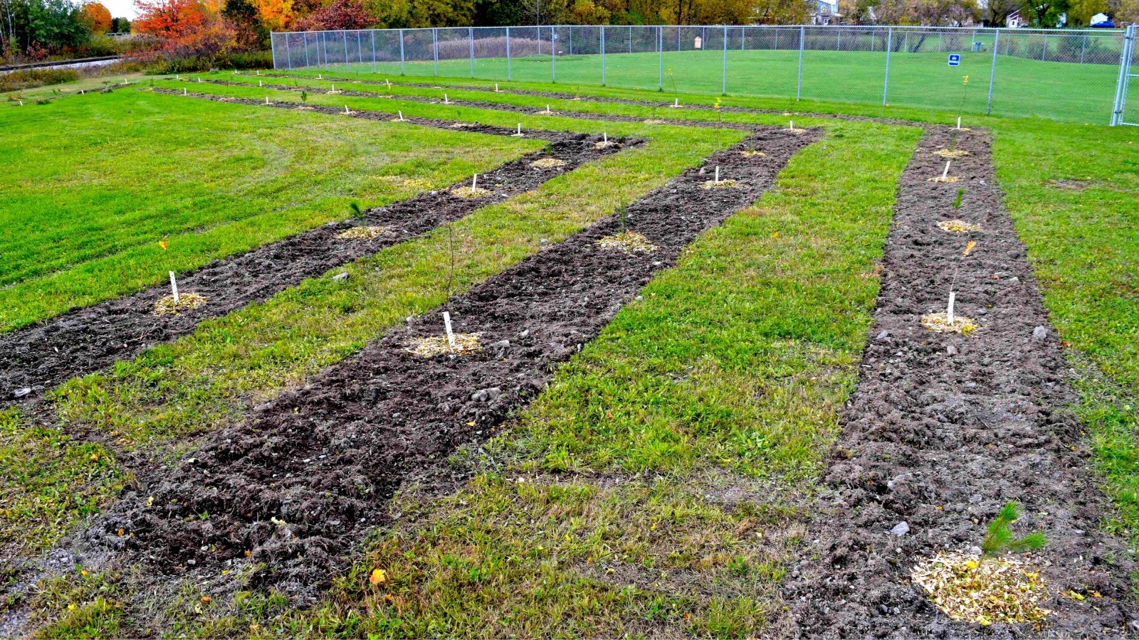 Appel de projets d’Arbre-Évolution : une initiative qui fait rouler l’écologie