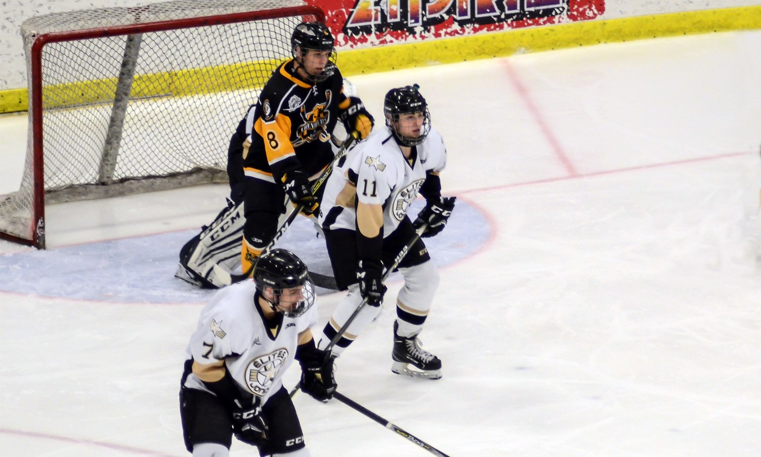 Une nouvelle victoire pour Les Chevaliers de Lévis