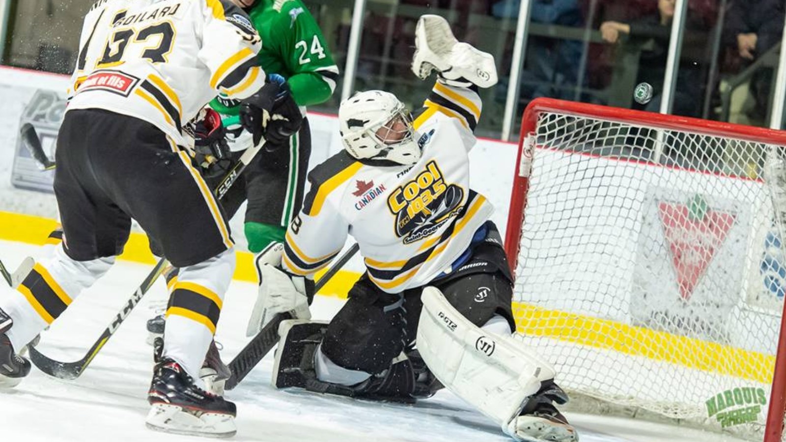 LNAH : Steven Veilleux est élu deuxième étoile de la semaine