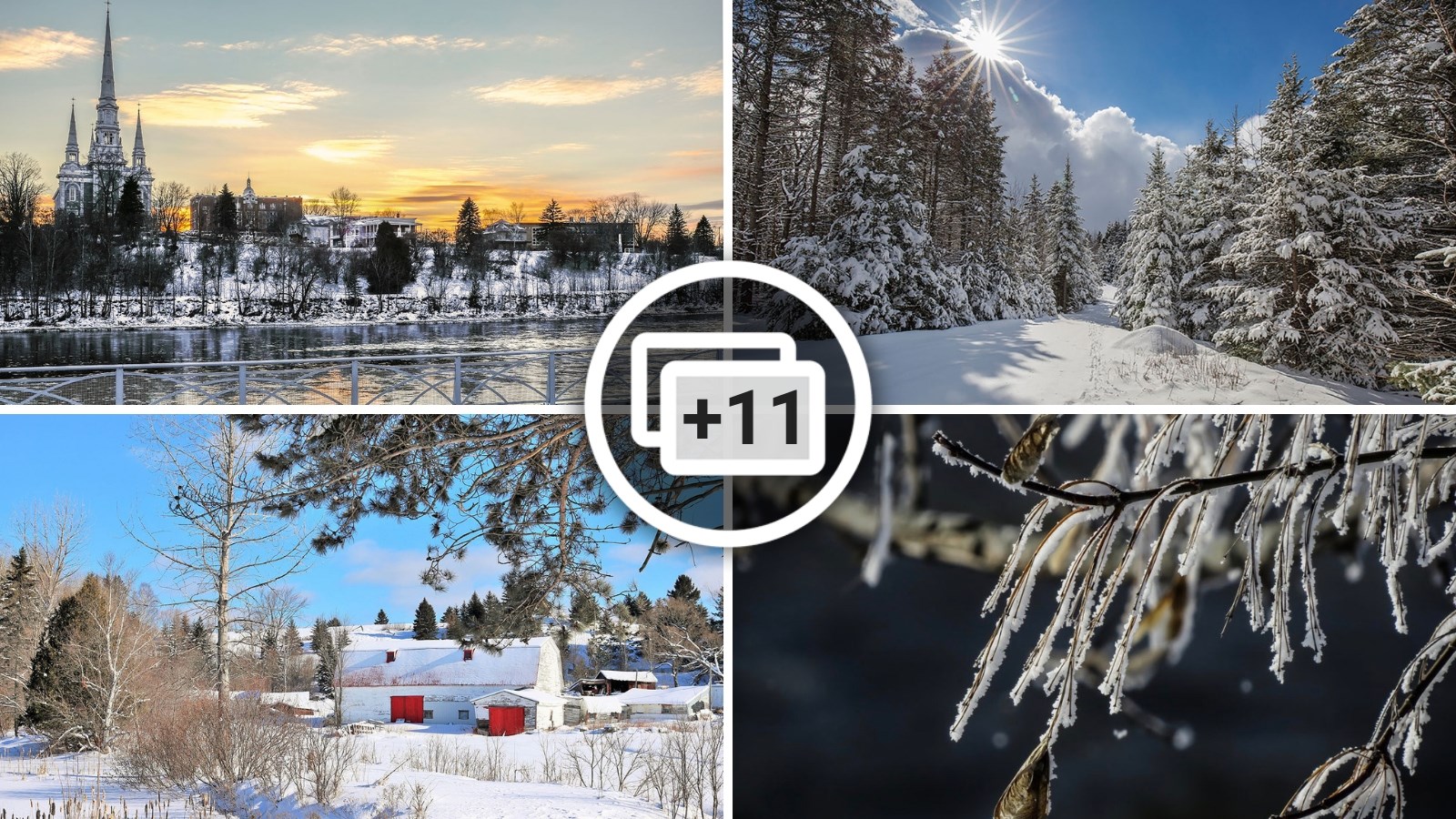 PHOTOS | Les plus beaux paysages hivernaux de la région