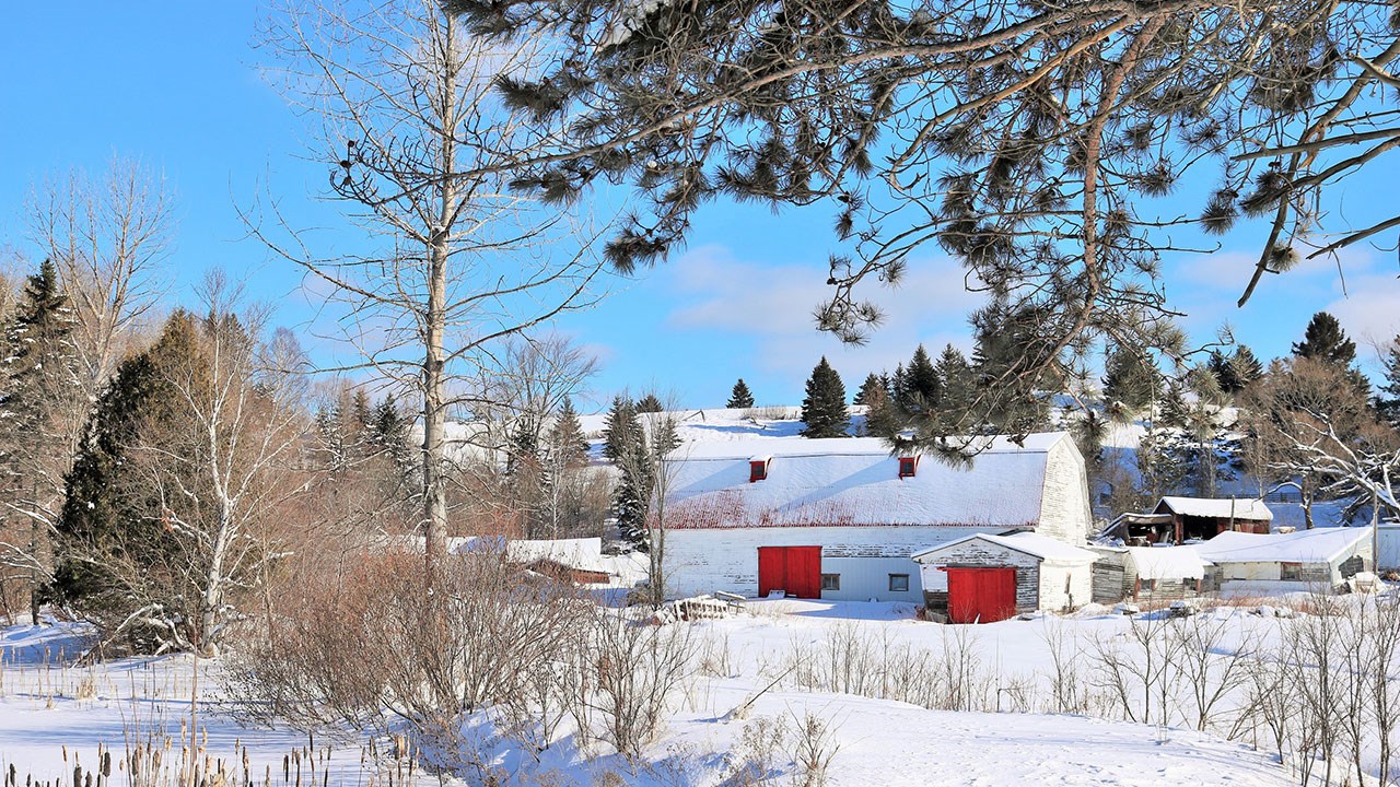 PHOTOS | Les plus beaux paysages hivernaux de la région