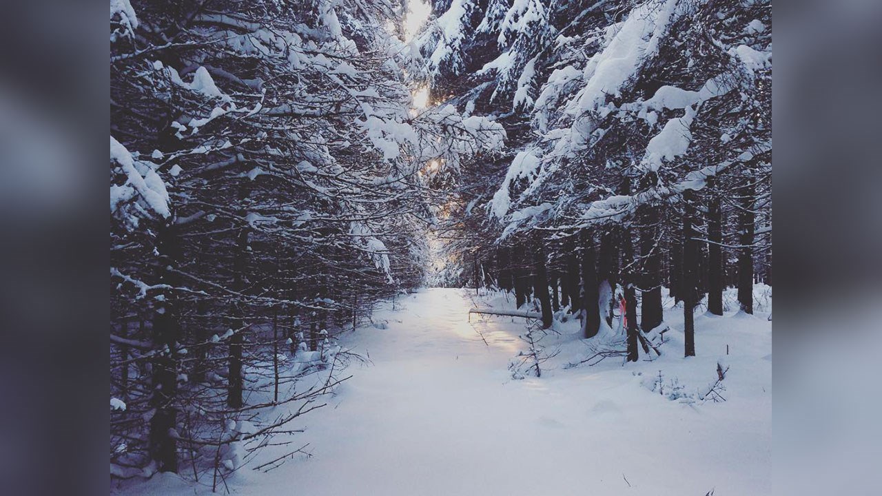 PHOTOS | Les plus beaux paysages hivernaux de la région