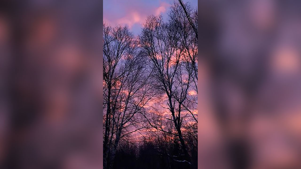 PHOTOS | Les plus beaux paysages hivernaux de la région
