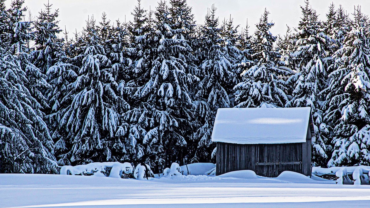 PHOTOS | Les plus beaux paysages hivernaux de la région