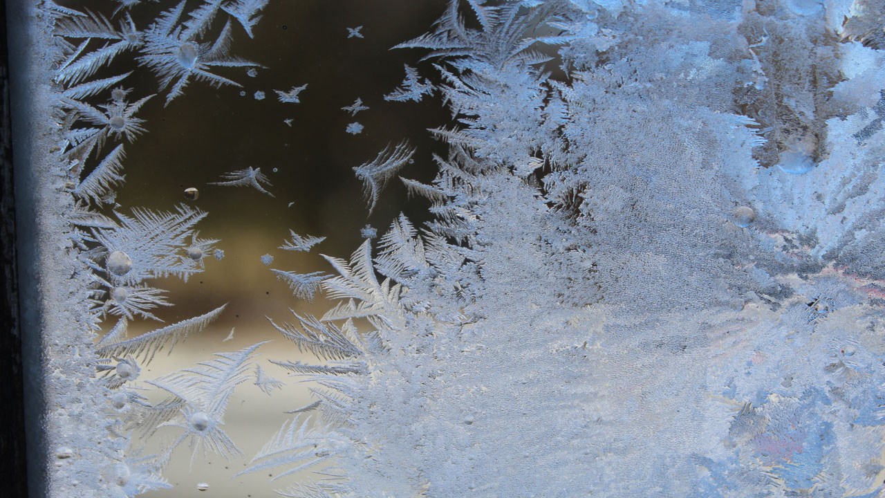 PHOTOS | Les plus beaux paysages hivernaux de la région