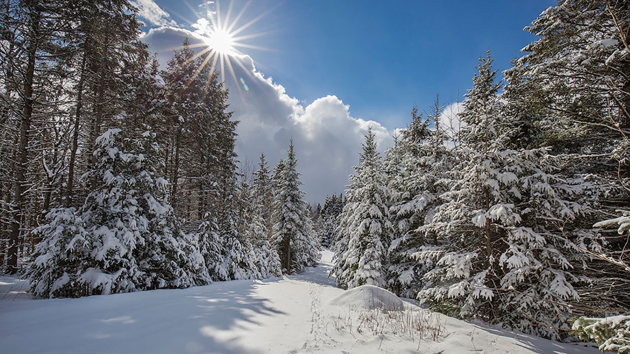« Un beau matin d'hiver »