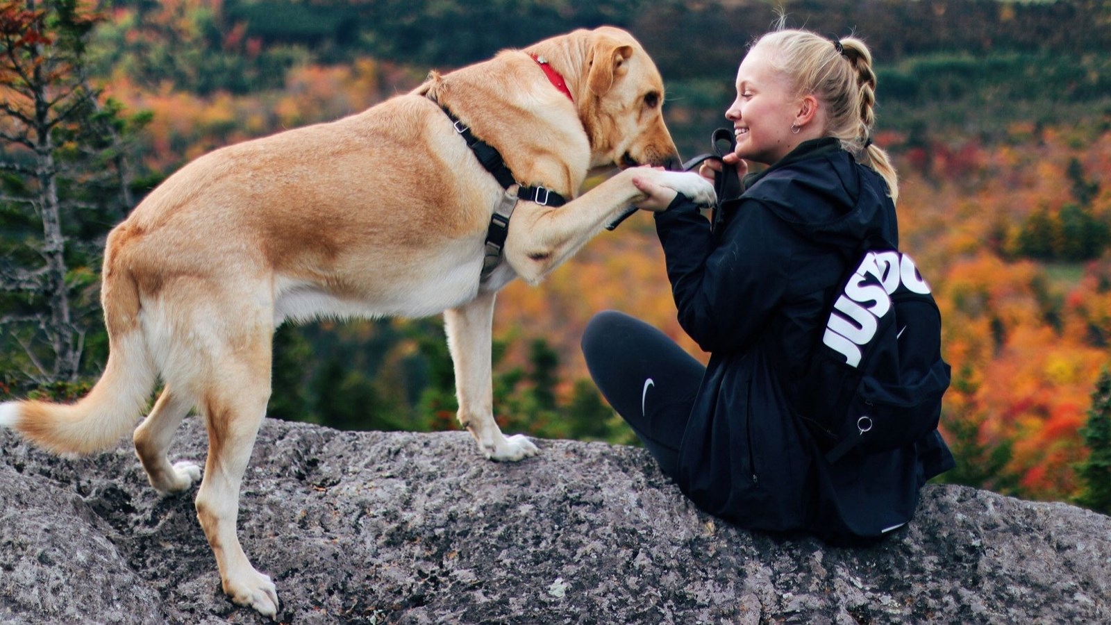 Son compagnon à quatre pattes sur le mont Morne à Saint-Clothilde