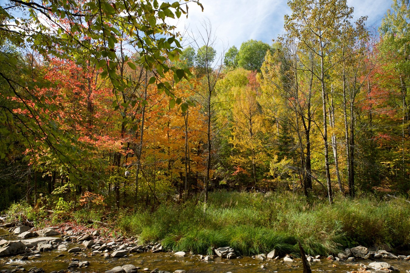 Galerie photos : votre vision de l'automne !
