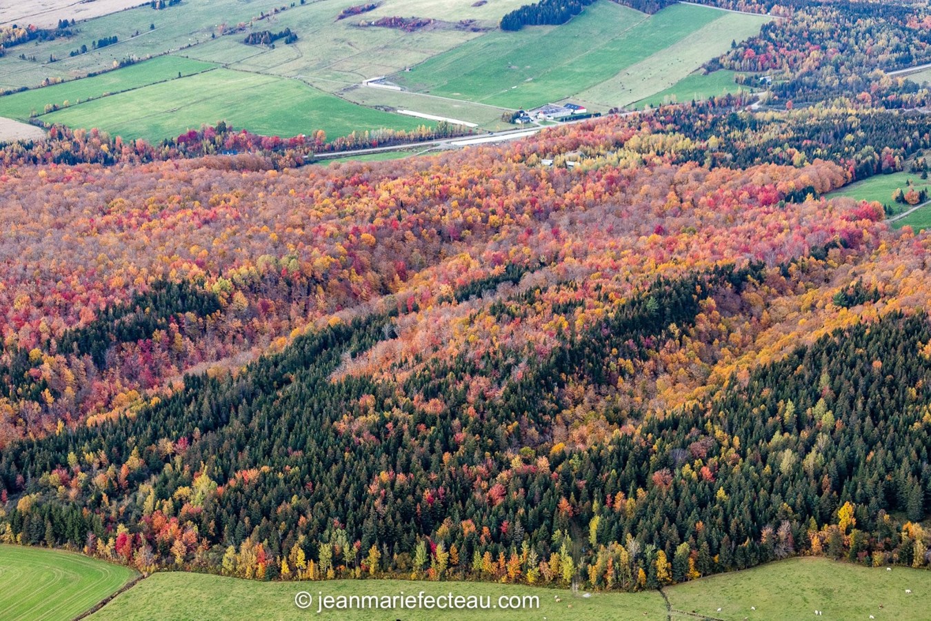 Un point de vue différent de notre belle Beauce l'automne
