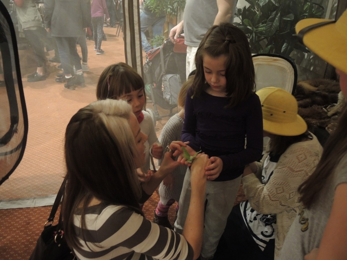 Un premier Festival des insectes présenté au Georgesville