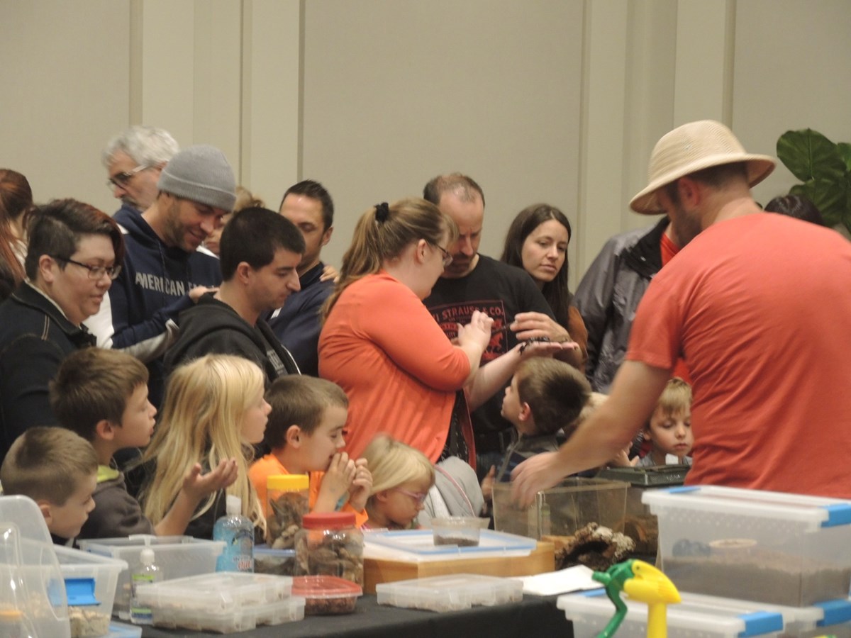 Un premier Festival des insectes présenté au Georgesville